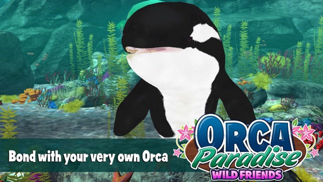 Orca Paradise: Wild Friends(圖1)-速報App