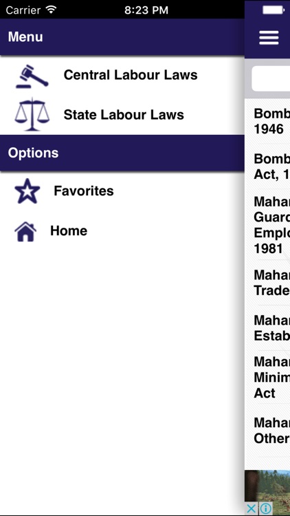 INDIAN LABOUR LAWS screenshot-3
