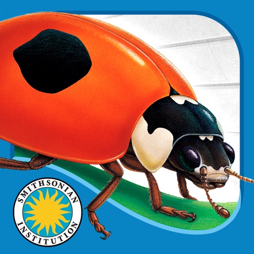 Ladybug at Orchard Avenue - Smithsonian's Backyard