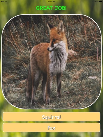 Animal Guessing Game screenshot 2