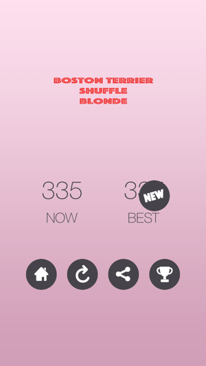 Boston Terrier Shuffle Blonde(圖4)-速報App