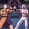 Icon Shaolin vs Wutang - Fighting