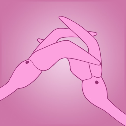 FlamingoFight iOS App