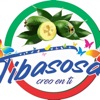 Tibasosa