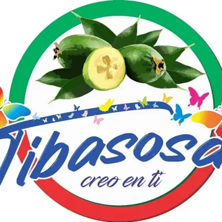 Tibasosa Читы