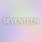 SEVENTEEN LIGHT STICK...