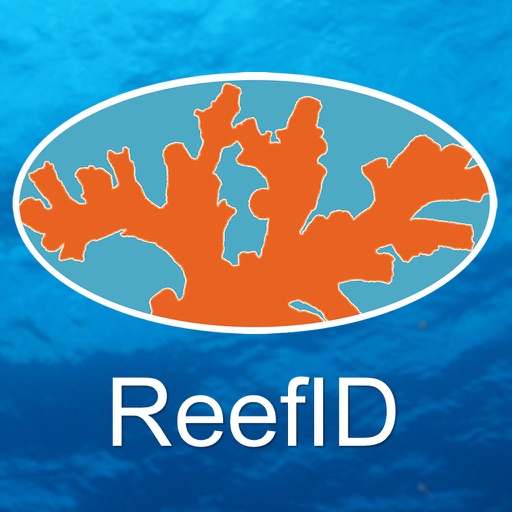 Red Sea Reef