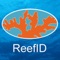 ReefID’s Red Sea Marine life identification app is yet another step in ReefID's underwater image recognition plan that has been created to help people get more out of their adventures in the Red Sea