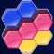 Icon Block Hexa: Basic Puzzle
