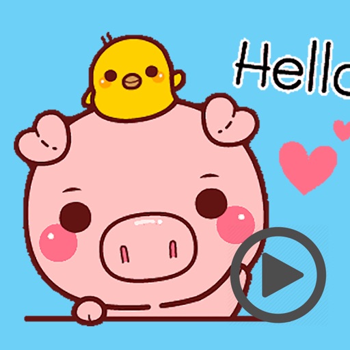 Pig Baby Aniamted