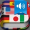 iHandy Translator Pro is the most powerful translation tool on your iPhone/iPod touch