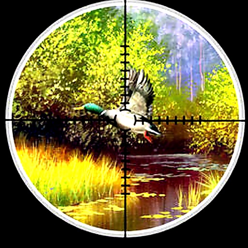 A Duck Hunter : Shooting games icon
