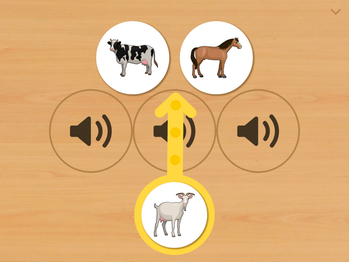 Animal Card Matching