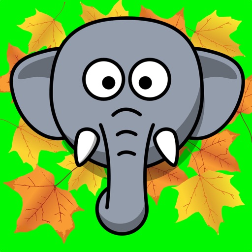 Mr. E's Nature Guessing Game Icon