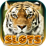 Wild Tiger Slots Machine Games
