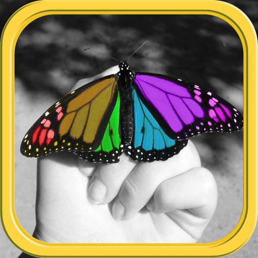 Color Editor - Photo Recolor & Background Eraser iOS App