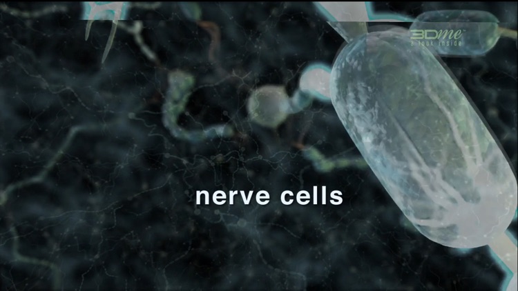 Alcohol and Your Brain screenshot-3