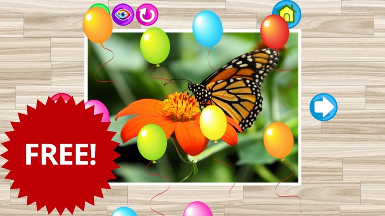 Butterfly and insect jigsaw puzzle games