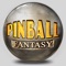 Welcome to Fantasy Pinball - professional pinball simulator for the OS X