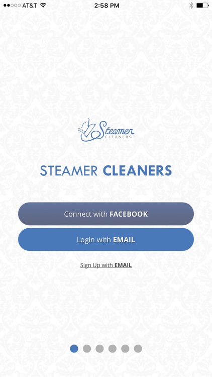 Steamer Cleaners