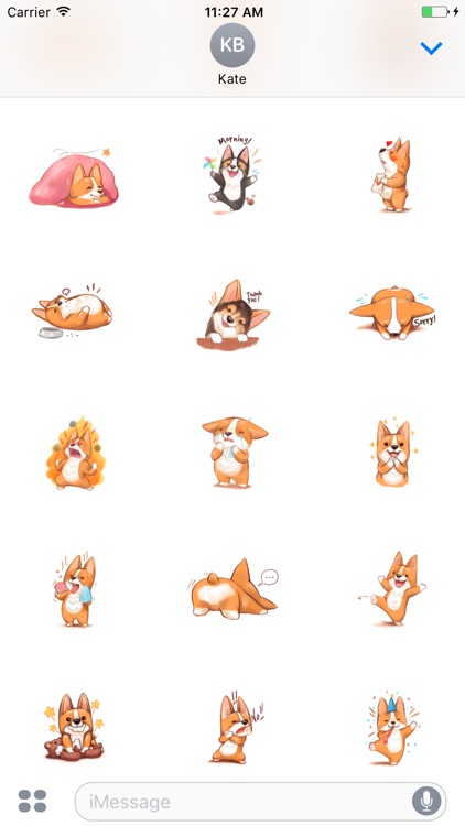 Cute Corgi Animated Sticker