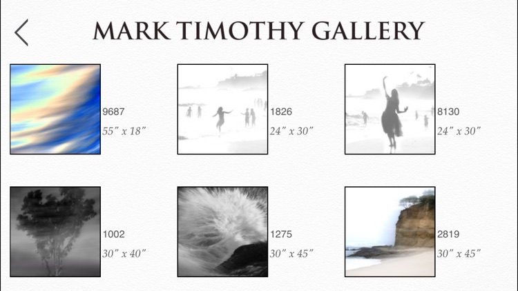Mark Timothy Gallery