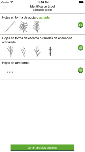 Arbolapp Canarias(圖4)-速報App