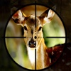 Sniper Deer Hunter 2017
