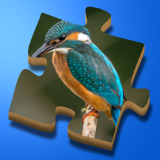 Activities of Super Jigsaws Birds