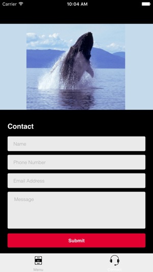 Humpback Whale Sounds!(圖5)-速報App