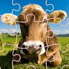 Puzzles Cow Page And Learn Jigsaw For Kids