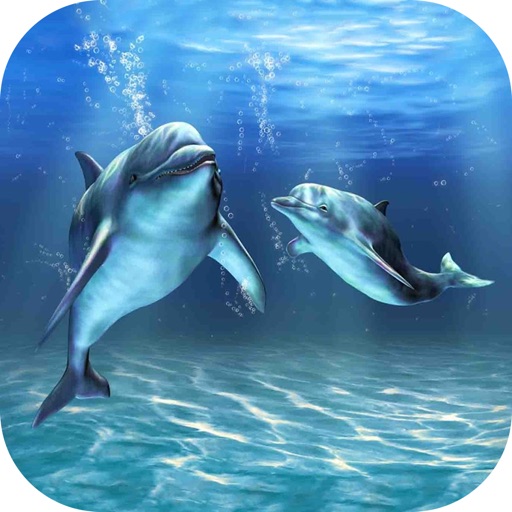 VR Dolphin For VR Cardboard icon