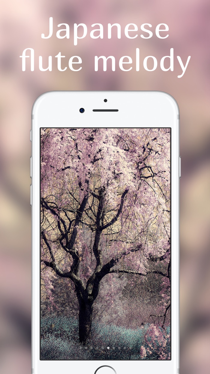 环境 失眠 周围 床 乐趣 困 强调 冷静 平静 温泉 睡觉 焦虑