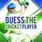 If you are a Cricket fan, here is a game for you