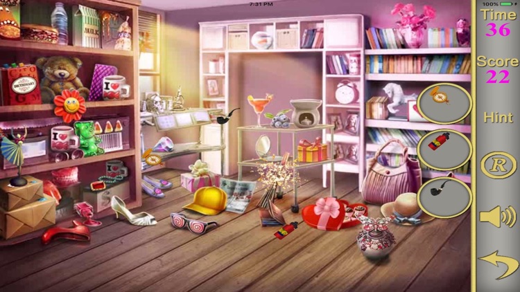 Hidden Objects Of A Valentines Gifts screenshot-3