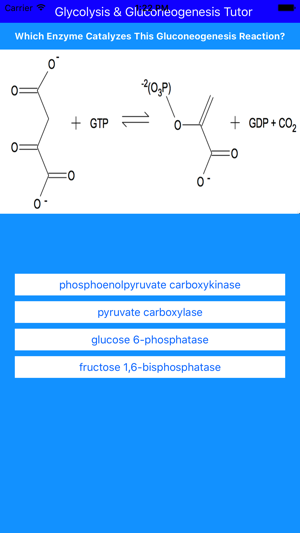 Glycolysis & Gluconeogenesis Tutor