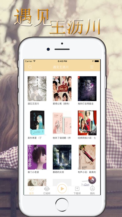 遇见王沥川 （沥川往事） 有声小说 - 施定柔著