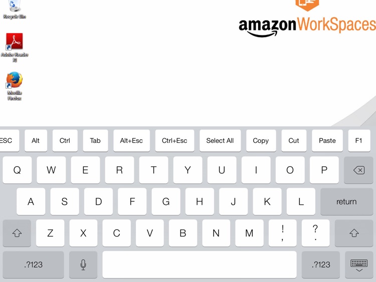 Amazon WorkSpaces screenshot-3
