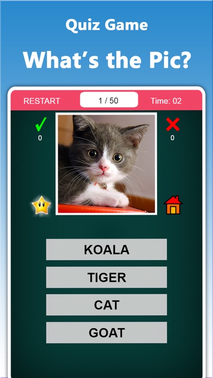 Kids Education Game With Animals