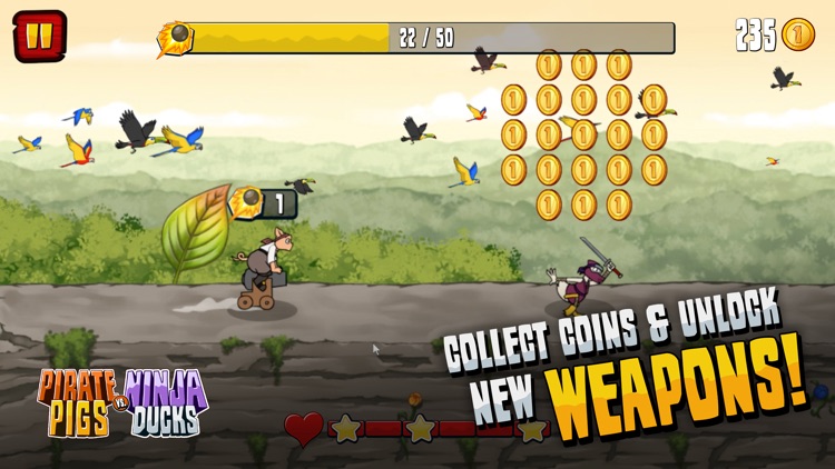 Pirate Pigs vs. Ninja Ducks screenshot-4