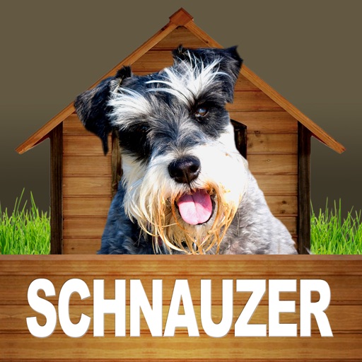 Schnauzer - Opoly Icon