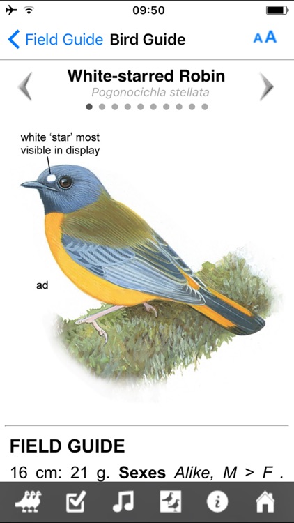 Roberts VII Multimedia Birds of Southern Africa HD screenshot-3