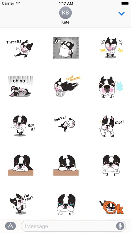 Animated Funny Boston Terrier Sticker