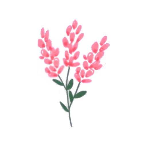 Fleur: Control de Gastos
