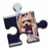 Icon Yorkshire Terrier Puzzle