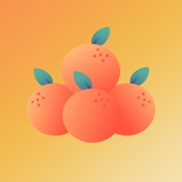 CitrusNotes-Arrange well