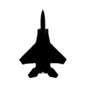 Lutador de águia de ferro icon