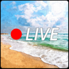 Beach Live Cams - Eloy Marin