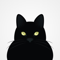  Miau Katzensprache Verstehen katze kater katzen Alternative