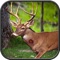 Wild Hunting: Jungle Animal Sniper Shoot